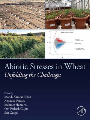 cover image of Abiotic Stresses in Wheat